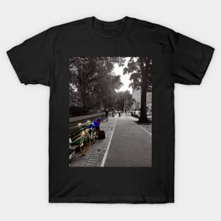 Central Park Street Manhattan New York City T-Shirt